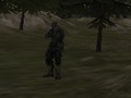 Gra Agencja FPS: Forest  w Internecie