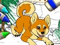 Gra Color Me Pets 2 w Internecie