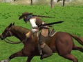 Gra Symulator jazdy konnej  w Internecie
