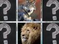 Gra Memory Match Animals w Internecie
