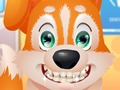 Gra Cute Puppy Dentysta  w Internecie