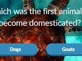 Gra Ciekawostki dla zwierząt  w Internecie