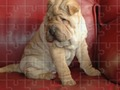 Gra Puzzle Jigsaw Classic w Internecie