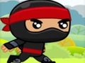 Gra Ninja w Internecie