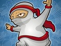 Gra Życie i śmierć ninja  w Internecie