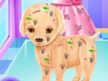 Gra Chirurgia szczeniąt Baby Elsa  w Internecie