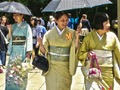 Gra 100 motyli w Japonii  w Internecie