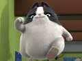 Gra Puzzle Binky Pets of the Universe  w Internecie