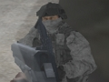 Gra Strajk antyterrorystyczny  w Internecie