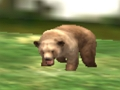 Gra Safari Animal Hunter w Internecie