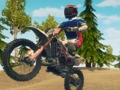 Gra Rowerowy rower enduro wyścigi w Internecie
