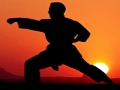 Gra Karate Sunset Warriors w Internecie