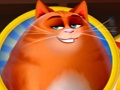 Gra Kitty Scramble w Internecie