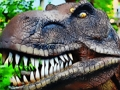 Gra Układanka Tyrannosaurus Rex Carnivore  w Internecie