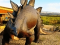 Gra Układanka dinozaurów Stegozaur  w Internecie