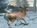 Gra Hunter Forest w Internecie