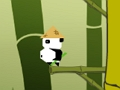 Gra Panda skok w Internecie