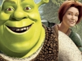Gra Kolekcja puzzli Shrek  w Internecie