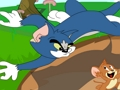 Gra Tom i Jerry we współpracy  w Internecie