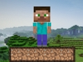 Gra Przetrwanie w Minecrafcie  w Internecie