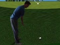 Gra Flash Golf 3D  w Internecie