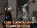 Gra Zombie Apocalypse Tunel Przetrwanie  w Internecie