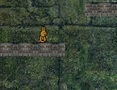 Gra Bunny Adventure  w Internecie