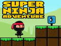 Gra Super ninja przygód  w Internecie