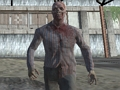 Gra Mroczny Las Zombie Survival FPS  w Internecie