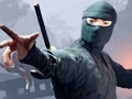 Gra Dotknij Ninja  w Internecie