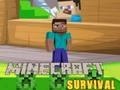 Gra Przetrwanie w Minecraft  w Internecie