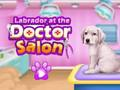 Gra Labrador w salonie lekarskim  w Internecie