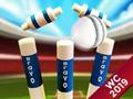 Gra Mini Cricket: Mistrzostwa Mistrzostw Ground Mistrzostwa 2019 w Internecie