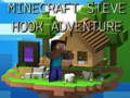 Gra Minecraft Przygoda Steve Hook  w Internecie