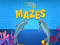 Gra Labirynty dla dzieci Nat Geo  w Internecie