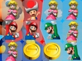 Gra Kolekcja Mario  w Internecie