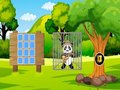 Gra Uratuj Panda Odkrywcę  w Internecie