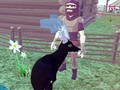 Gra Symulator jelenia 3D  w Internecie