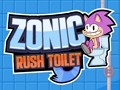 Gra Toaleta Sonic Rush  w Internecie