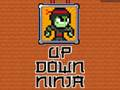 Gra Ninja w górę w dół  w Internecie