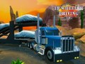 Gra 18 Wheeler Symulator Jazdy  w Internecie