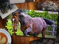Gra Wydanie koni puzzle jigsaw w Internecie