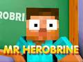 Gra Pan Herobrine  w Internecie