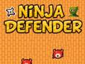 Gra Obrońca ninja  w Internecie