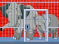 Gra Ratowanie matki i małego słonia  w Internecie