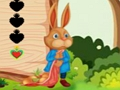 Gra Ucieczka wiewiórki  w Internecie