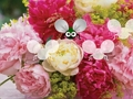 Gra Tapeta Pretty Blossom Ucieczka  w Internecie