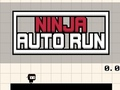 Gra Automatyczny bieg ninja  w Internecie