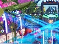 Gra Parkour park wodny  w Internecie