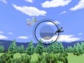 Gra Wii Sports Obserwacja ptaków  w Internecie